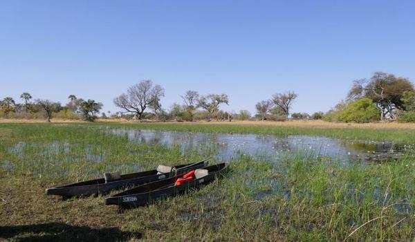 三角洲怎么申请领物资（给我一个三角洲物资申请的模板）